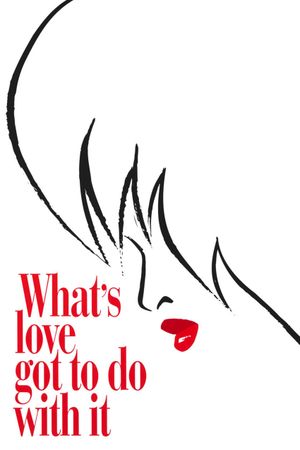 What's Love Got to Do with It's poster