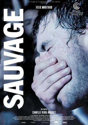 Sauvage/Wild's poster