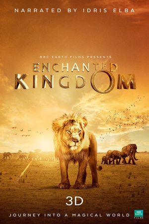 Enchanted Kingdom's poster
