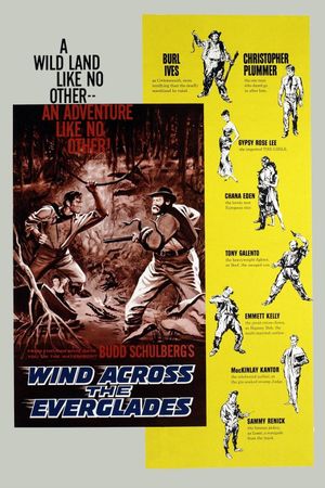 Wind Across the Everglades's poster