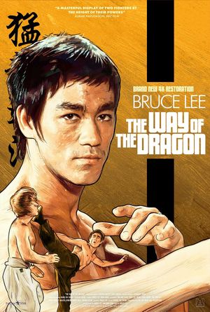 The Way of the Dragon's poster