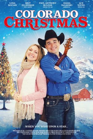 Colorado Christmas's poster