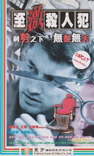 Mad Stylist's poster