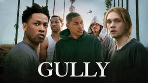 Gully's poster