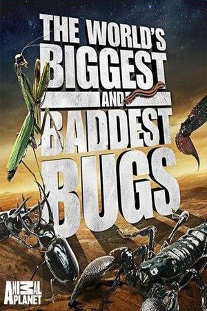 The World's Biggest and Baddest Bugs's poster