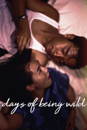 Days of Being Wild's poster
