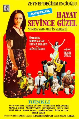 Aysecik: Hayat Sevince Güzel's poster