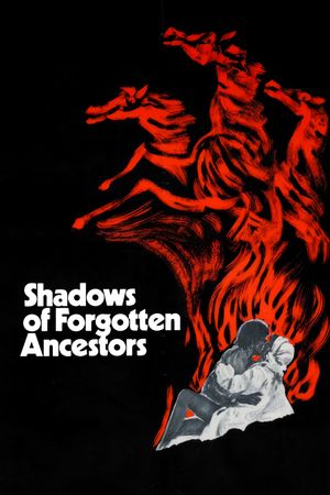 Shadows of Forgotten Ancestors's poster