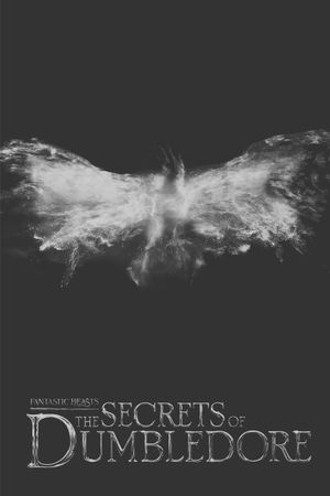 Fantastic Beasts: The Secrets of Dumbledore's poster