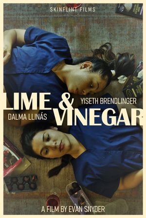 Lime & Vinegar's poster image