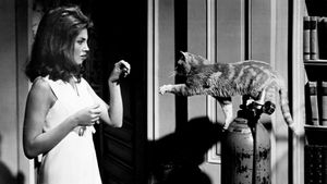 Eye of the Cat's poster