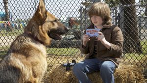 Cool Dog's poster
