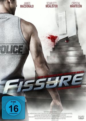Fissure's poster