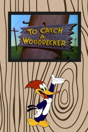 To Catch a Woodpecker's poster
