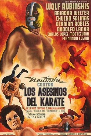 Neutron Battles the Karate Assassins's poster