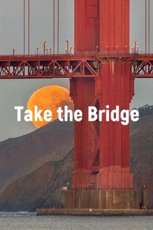 Take The Bridge's poster