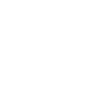 The Angry Birds Movie's poster