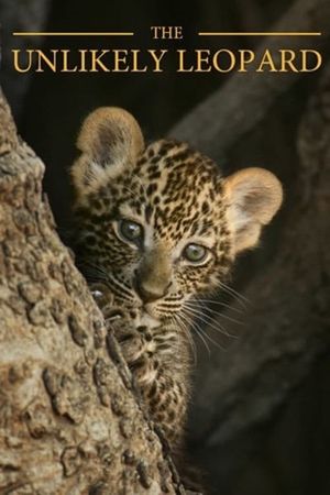 The Unlikely Leopard's poster image