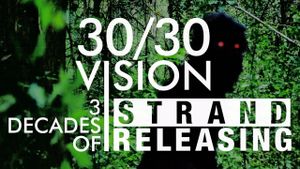 30/30 Vision: 3 Decades of Strand Releasing's poster
