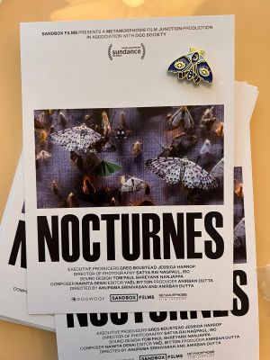 Nocturnes's poster