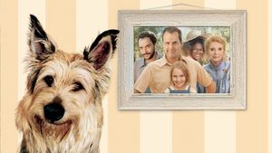 Because of Winn-Dixie's poster