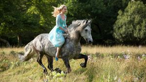 Cinderella's poster