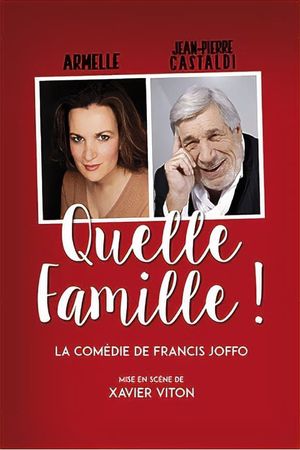 Quelle famille !'s poster
