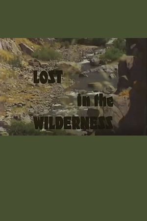 Lost In The Wilderness's poster
