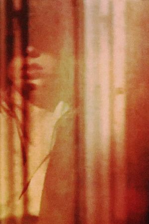 I Left My Silent House's poster