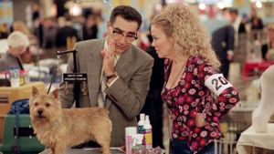 Best in Show's poster