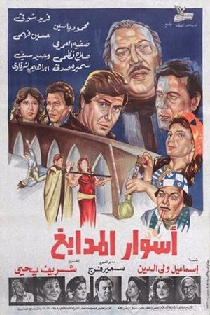 Aswar almdabegh's poster image