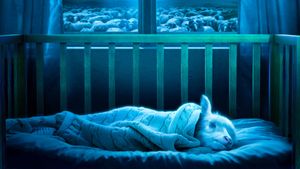 Lamb's poster