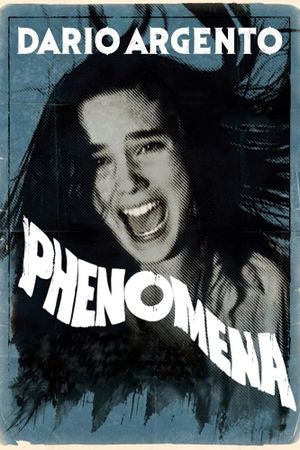 Phenomena's poster