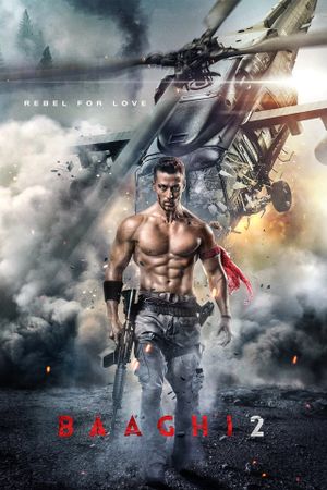Baaghi 2's poster image