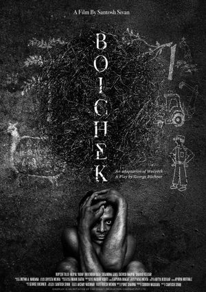 Boichek's poster image