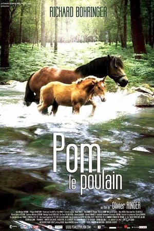 Pom, le poulain's poster