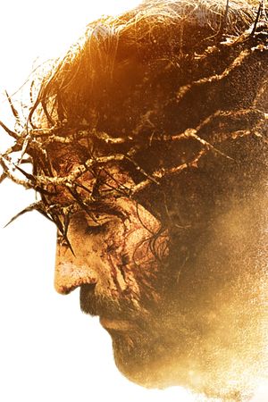 The Passion of the Christ's poster