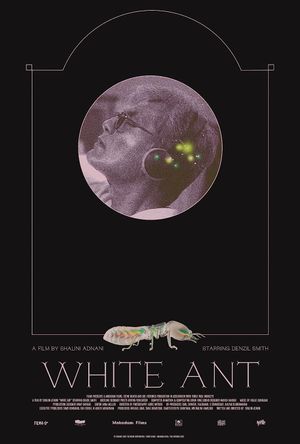 White Ant's poster