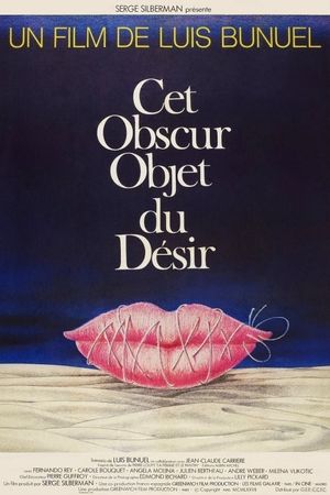 That Obscure Object of Desire's poster