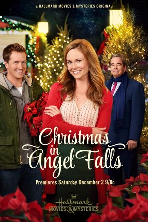 Christmas in Angel Falls's poster
