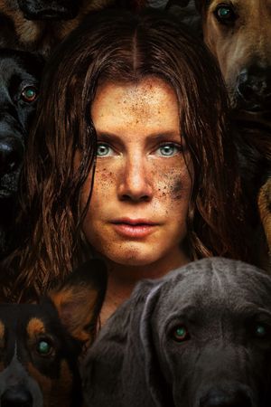 Nightbitch's poster