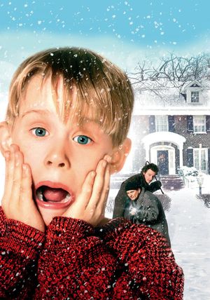 Home Alone's poster