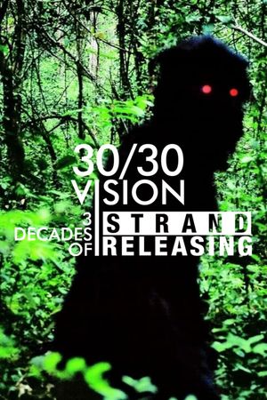 30/30 Vision: 3 Decades of Strand Releasing's poster