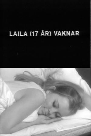 Laila Wakes Up's poster