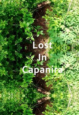 Lost in Capanira's poster