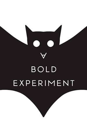 A Bold Experiment's poster