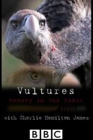 Vultures: Beauty in the Beast's poster