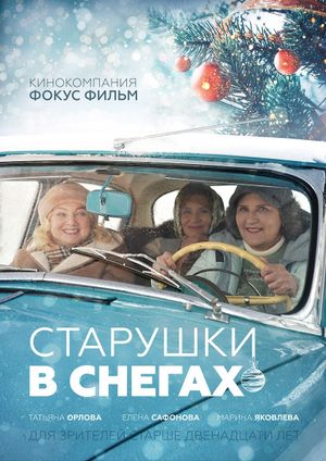 Старушки в снегах's poster