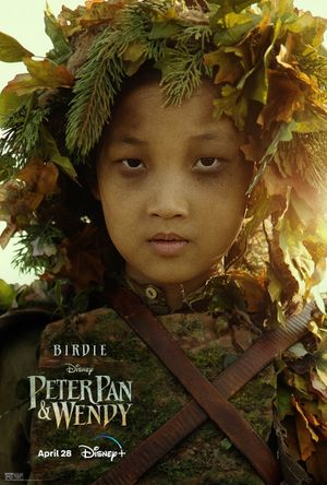 Peter Pan & Wendy's poster