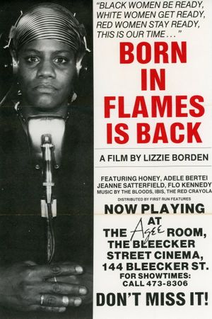 Born in Flames's poster